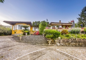 incantevole proprietà immersa nel verde nel cuore dei Castelli Romani dal panorama esclusivo. La meravigliosa residenza e\' circondata da un parco incantevole di circa 5200 metri quadri e dalla terrazza panoramica di 95 metri circa sulla quale e\' adagiata una vasca idromassaggio riscaldata fino a 42 gradi dalla quale si puo\' godere il panorama fino alle isole pontine. La villa si sviluppa su due piani.