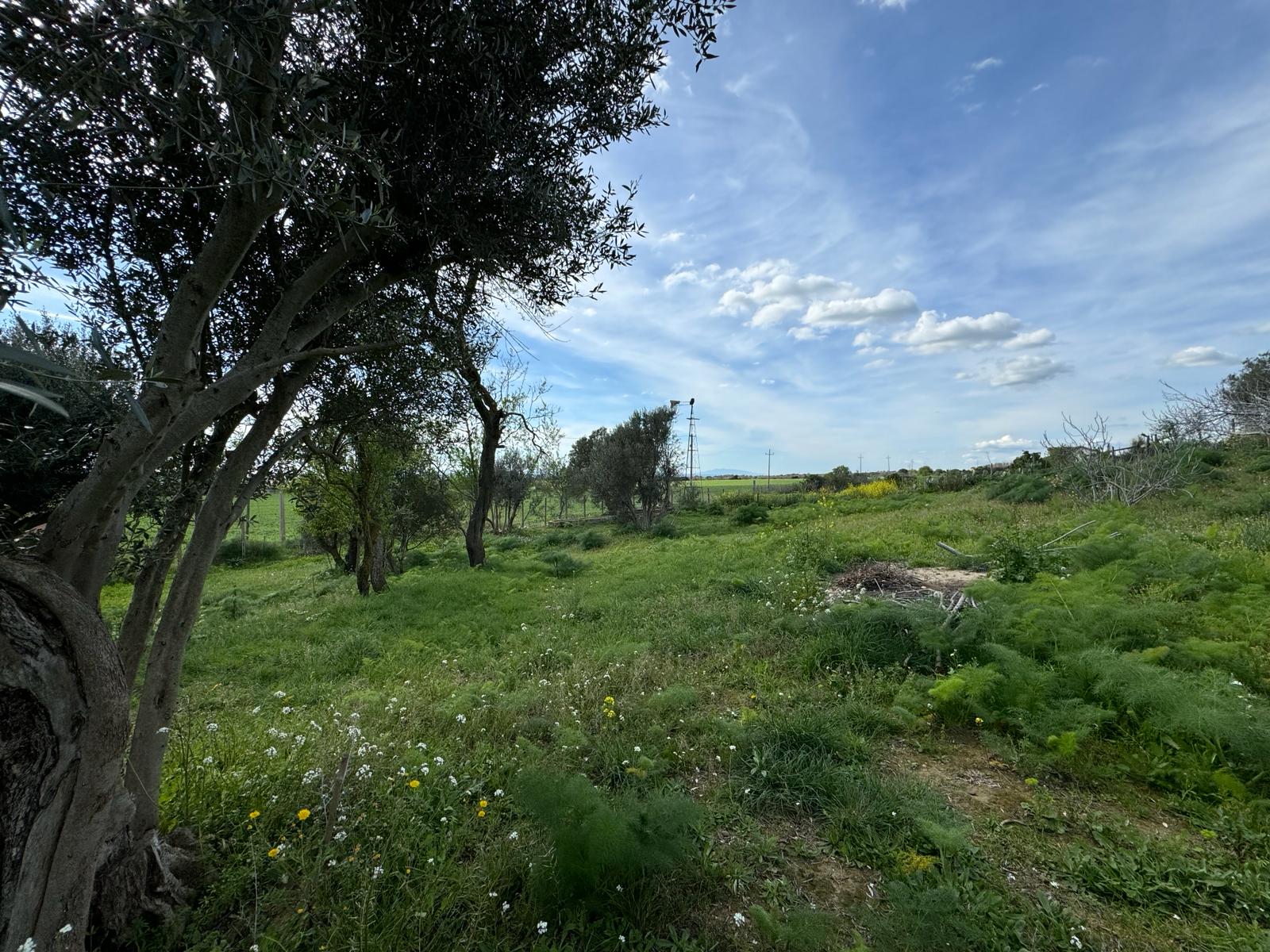 Residenziale, In Vendita, ID , Italia,Residenziale In Vendita In Italia, TARQUINIA, vista mare, casale ristrutturato , panoramico 