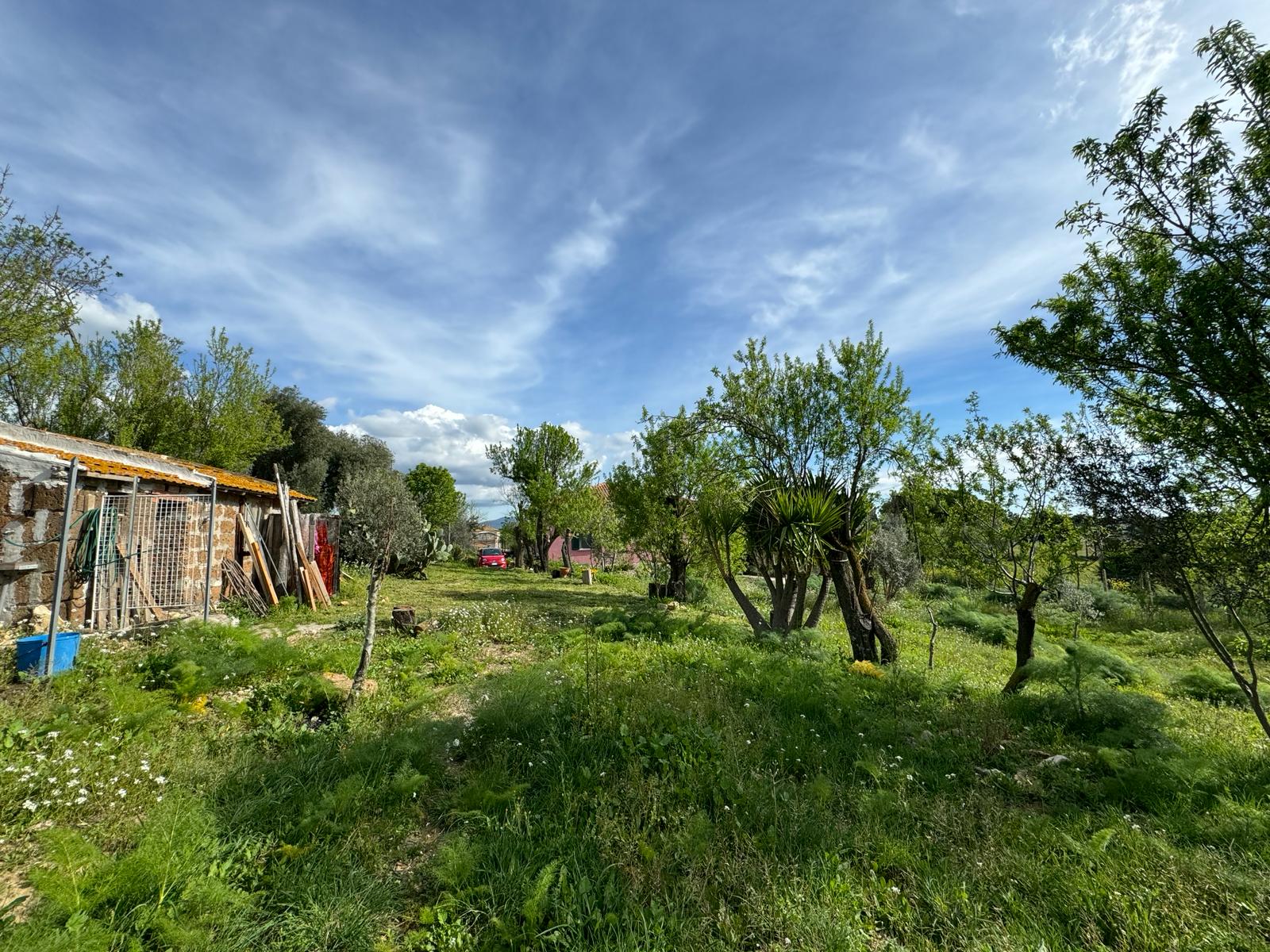 Residenziale, In Vendita, ID , Italia,Residenziale In Vendita In Italia, TARQUINIA, vista mare, casale ristrutturato , panoramico 