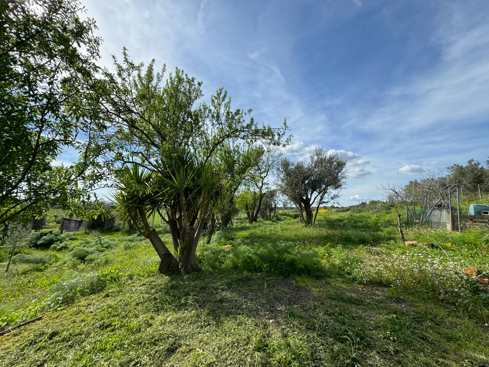 Residenziale, In Vendita, ID , Italia,Residenziale In Vendita In Italia, TARQUINIA, vista mare, casale ristrutturato , panoramico 