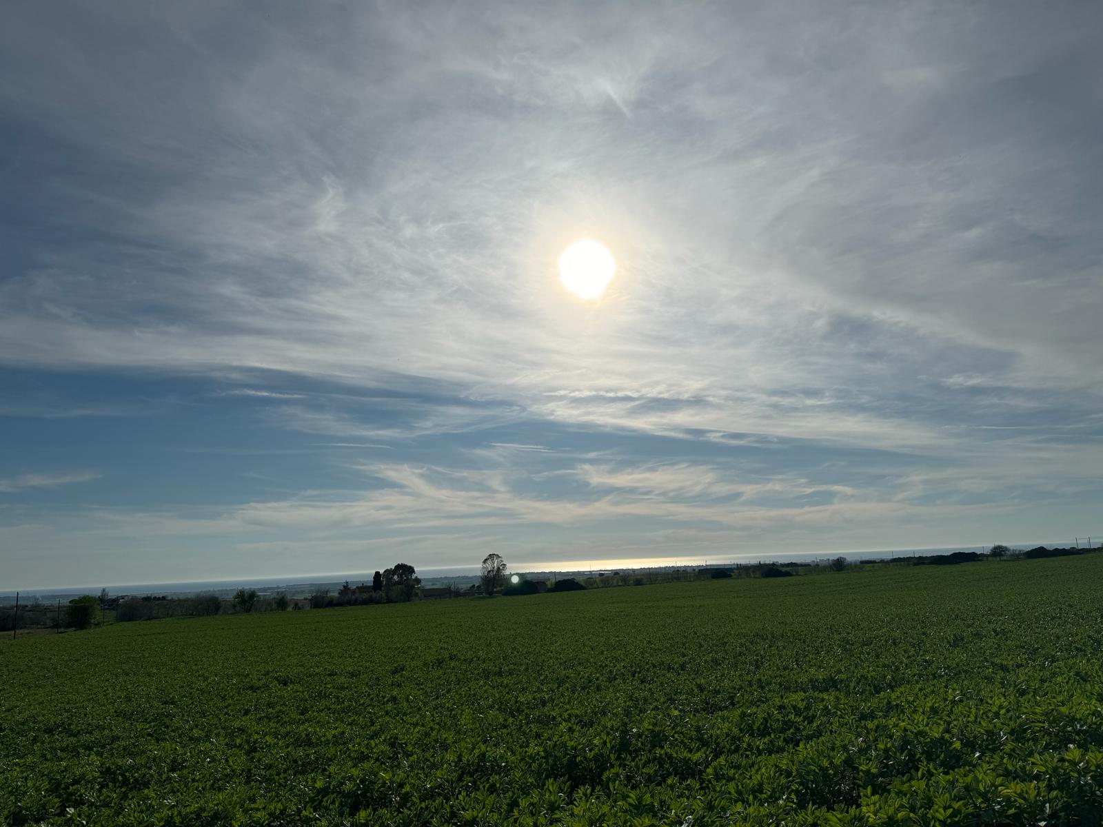 Residenziale, In Vendita, ID , Italia,Residenziale In Vendita In Italia, TARQUINIA, vista mare, casale ristrutturato , panoramico 