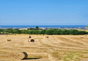 Residenziale, In Vendita, ID , Italia,Residenziale In Vendita In Italia, TARQUINIA, vista mare, casale ristrutturato , panoramico 